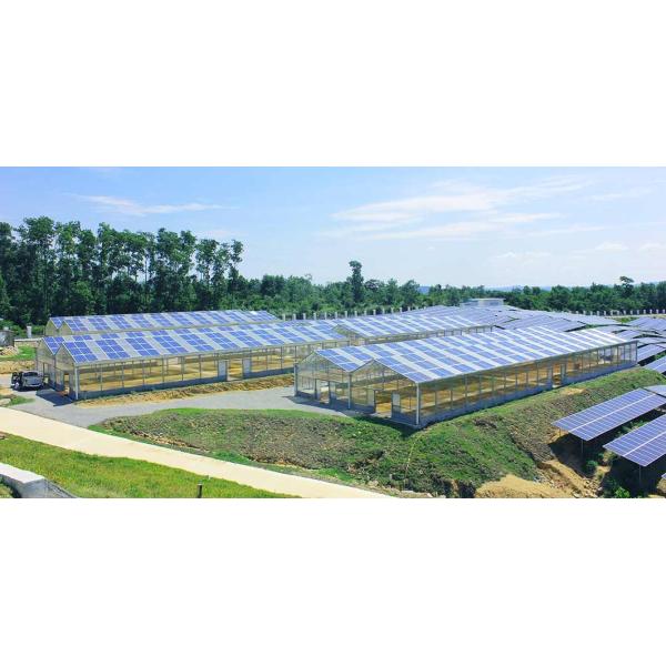 Horizontal Vertical Metallic Single Span Greenhouse Solar System