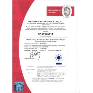 Wetown Electric Group Co.,Ltd. Certifications