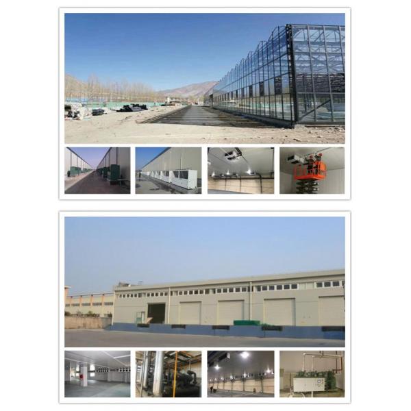 Large heat transfer area, slow frosting speed, and high anti-corrosion industrial ethylene glycol dual outlet cold air fan can be selected as the fan