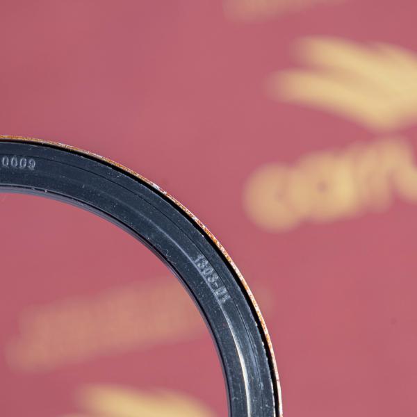 612630030009 Engine Oil Seal Weichai WP12 Rust Resistance Corrosion Proof