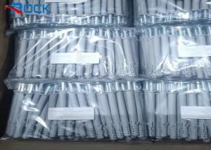 China Stainless Steel Expansion Nail 10*160mm White Plastic Wall Anchor wholesale