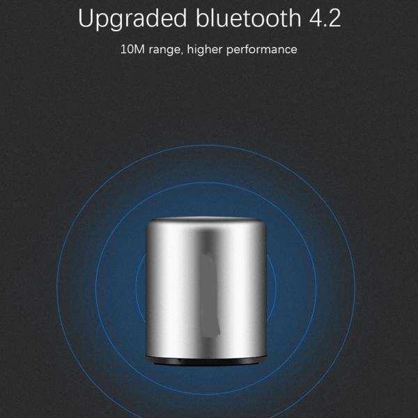 Producentre PDCMK10 Wireless Mini BT 4.2 Speaker With Microphone Phone Calling HD Super Bass Subwoofer Mini LoudSpeaker