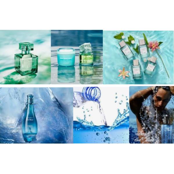 High Quality Pure Marine Vitality Essence Aqva Marine Fragrance Essence