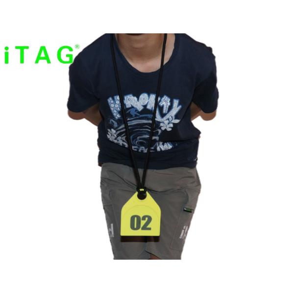 cattle/sheep/camel/ostrich/donkey/horse neck tag,animal neck tag,super large neck tag