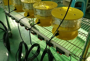 FAA L856 IP67 Medium Intensity Type A LED Aviation Obstruction Light For High Construction