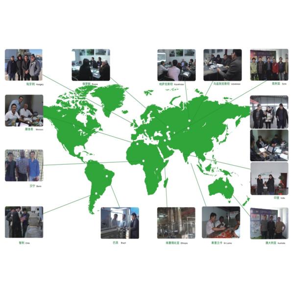 20 Tons Per Hour Automatic Fruit Production Line To Remove Fruit Crisp Line