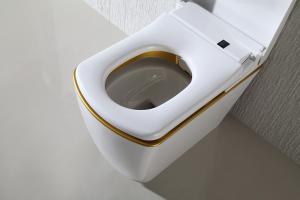 China 110V / 220V Electric Smart Toilet Smart Bidet Toilet Automatic Deodorization intelligent toilet wholesale