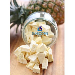 Home Use Food Freeze Dryer Machine Built In Cold Trap