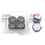 CO/H2S Sensor for Accurate Carbon Monoxide and Hydrogen Sulfide Measurement in
