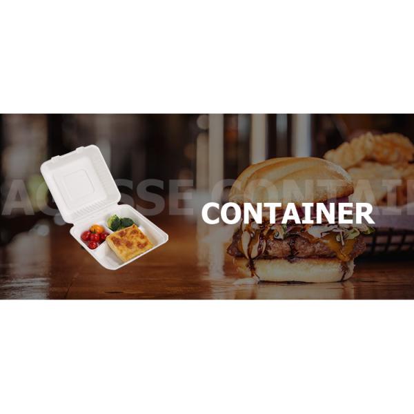 Compostable Biodegradable Packing disposable bagasse Buger pulp paper box
