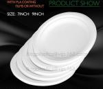 round pizza plate/Restaurant & hotel dinner plates made by bideogradable, Heat