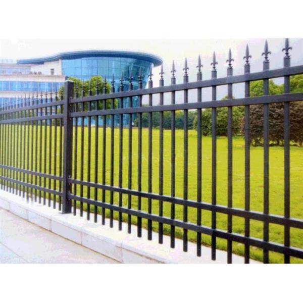 Customized Powder Coating Steel Fence and Steel Gate Designs