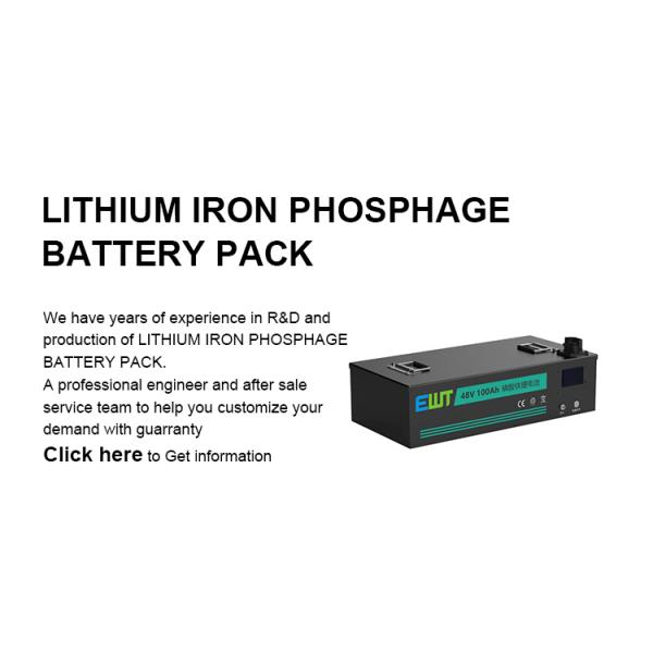 220V Lithium Iron Phosphate LFP Battery 48V 60Ah LiFePO4 Battery Pack