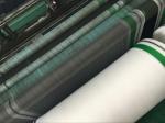Professional Agricultural Netting , Anti Bird Netting For Fruit Trees