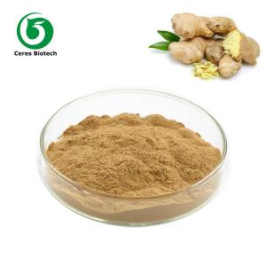 China Food Grade Ginger Extract Gingerols Powder 40% on sale