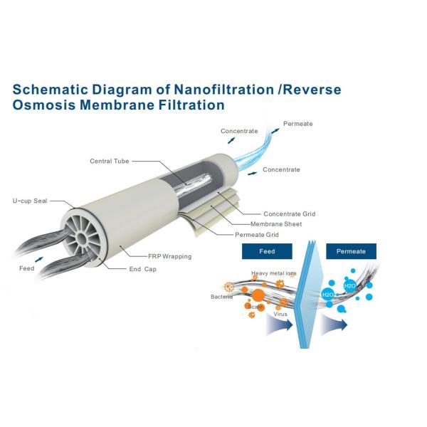 Swro Seawater Desalination Filter Membrane Technology Ultrafiltration 4" Low Pressure