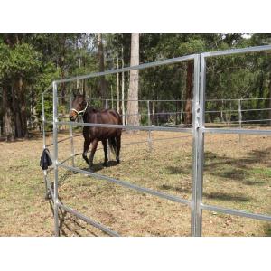 Round Corral Panels Heavy Duty 6 Oval Rail - Portable Horse Pens For Sale