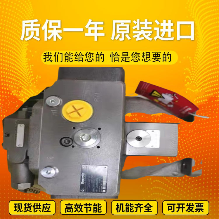 A4VSO71DFR/10R-VPB25N00 A4VSO125DR/30R-PZB13N00 Injectionmoldingmachineplungerpu