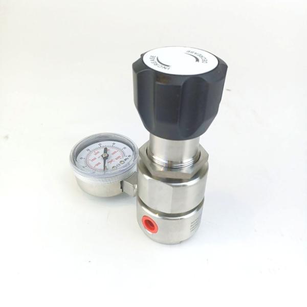 Two Stage Stainless Steel Pressure Regulator For Gas 316L