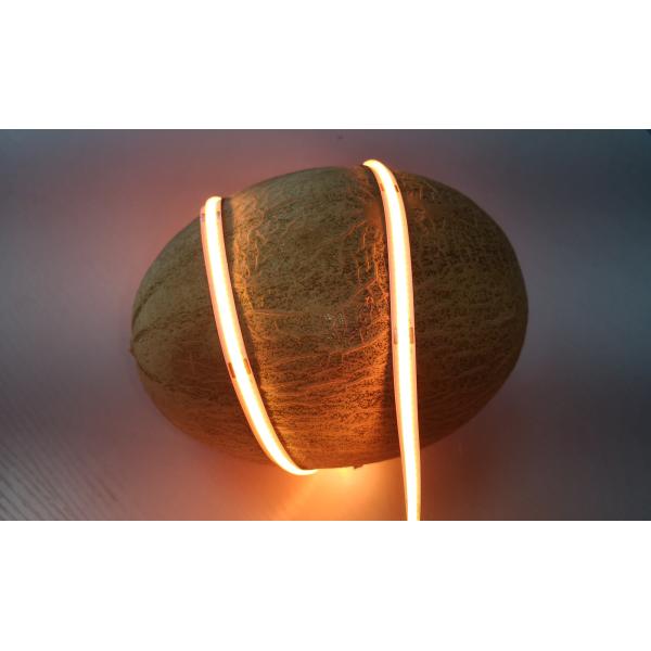 10W FOB Diffused Flexible Deformable Cob Led Strip