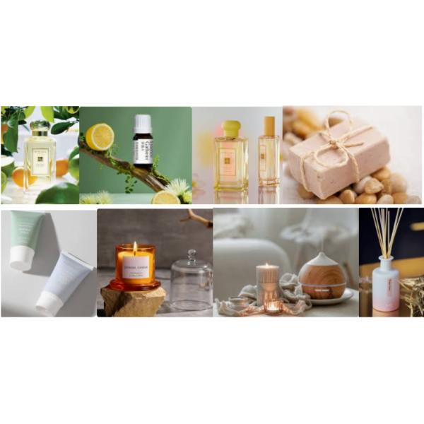 Lemon Basil & Citrus Essence For Perfume Making High Purity