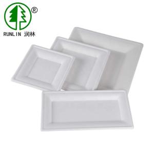 China Rectangular Biodegradable Sugarcane Bagasse Plates Environmentally Friendly Natural Fiber wholesale