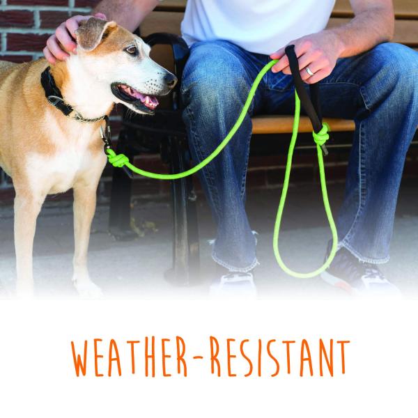 Weather Resistant Reflective Rope Dog Leash Lightweight Climbers Carabiner Clip