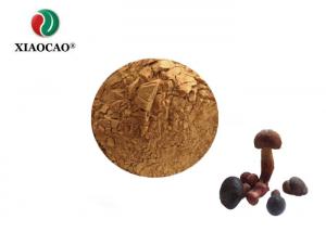 China Blends Organic Bolete Powder / Medicinal Mushroom Extract Powder on sale