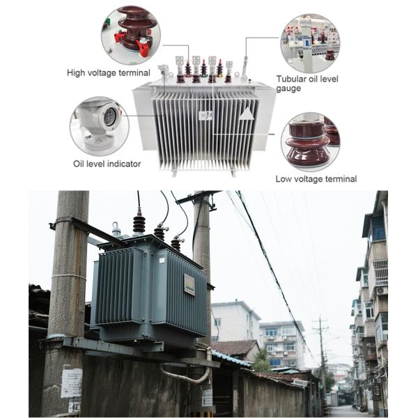 Step Up / Down Oil Immersed Power Transformer 30KVA 200KVA Three Phase IEC ANSI Standards