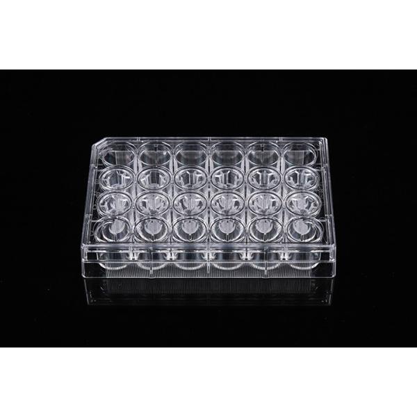 Cell Insert Multiple Well Plate 24mm PCR Laboratory