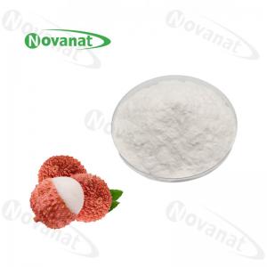 China Lychee Powder Fruit Vegetable Powder Pure Flavor / Water Soluble / Clean Label wholesale