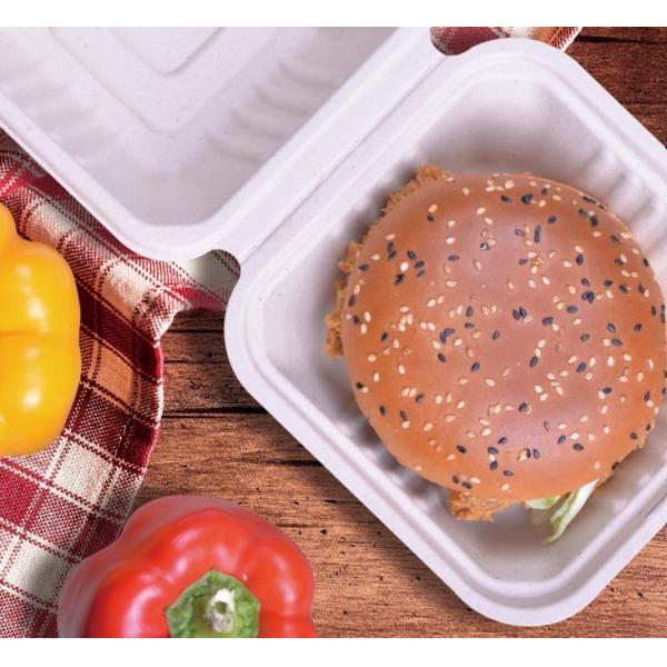 White Hinged Bagasse Takeaway Boxes 431x199x38mm