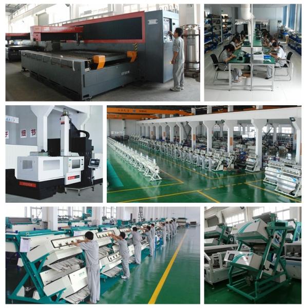 Soybean Peanut Rice Color Sorter Machine With Six Color Selection Models