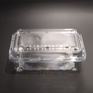 Clear PET Plastic Food Storage Containers with Lids