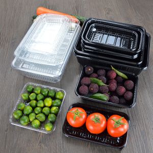 PET Rectangular Transparent FDA Frozen Food Tray Packaging