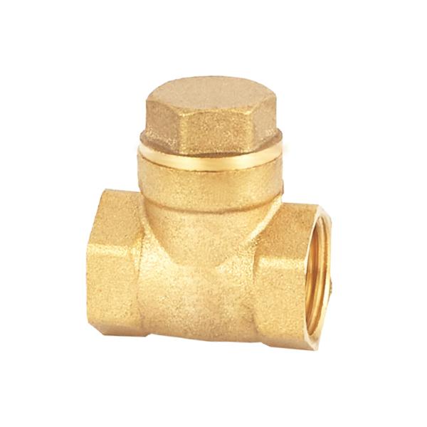 Rustproof One Way Water Check Valve 32mm 22mm Non Return Valve