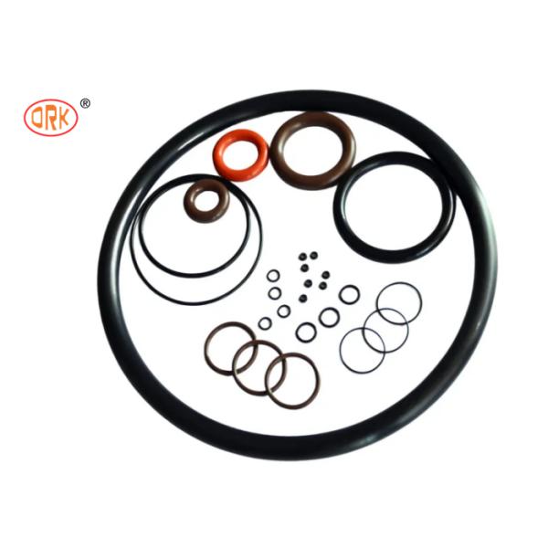 Waterproof Encapsulated NBR EPDM FKM Fluorosilicone AS568 O-Ring Seals for Manufacturing Equipment