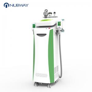 China Professional Body Slimming 5 Cryo Handles Cryolipolyse vertical Plana Belly Fat Removal Machine wholesale