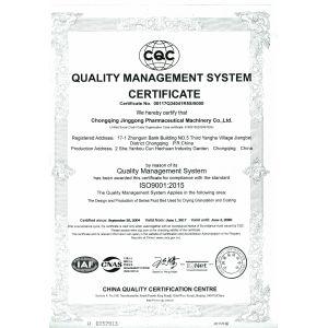 Chongqing Topsun Jinggong Technology Co., Ltd. Certifications