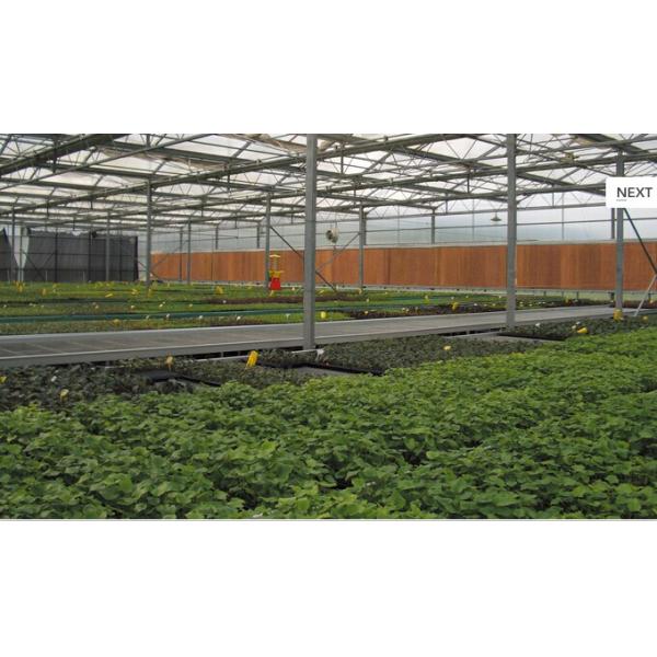 DHF 6090 cooling pad/ evaporative cooling pad/ wet pad