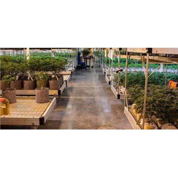 Ebb And Flow Greenhouse Farming Flower Grow Table Rolling Bench For Seedling