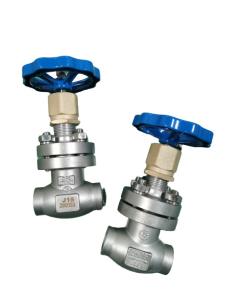 China -80C Cryogenic Globe Valve With Socket Weld Ends wholesale
