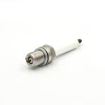 RB77WPCC Ignition System High Performance Industrial Gas Engine Spark Plug