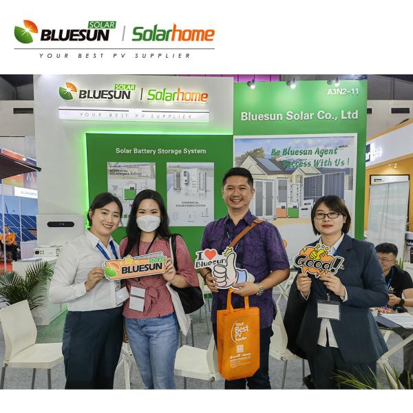 Bluesun 9bb Half Cell N-type Topcon 430w 440w 450w for Home Offices More Powerful Solar Panels