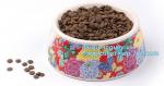 Lovely Personalized portable pet dog food water bowl ceramic plastic, Plastic