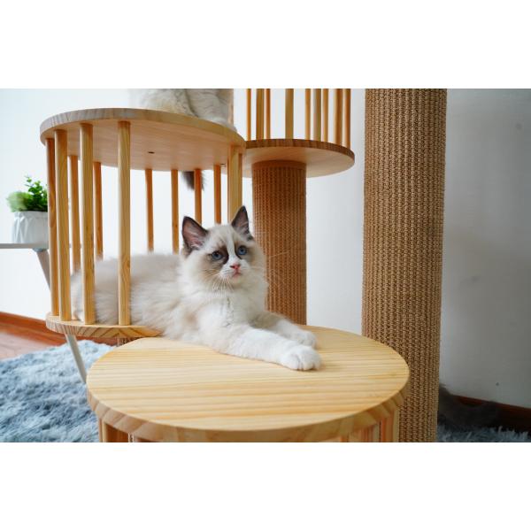 Durable House Kitten Cat Climbing Tree Tower Condo With Scratching Posts
