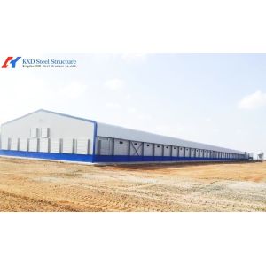 China Steel Structure Poultry House with Automated Feeding and Ventilation Systems wholesale
