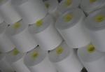 TFO 30S/3 Spun Polyester Thread Raw White Pattern for Sewing with OEKO TEX