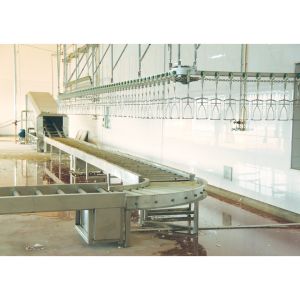 800bph - 2000bph Chicken Automatic Slaughtering Machine Broiler Processing