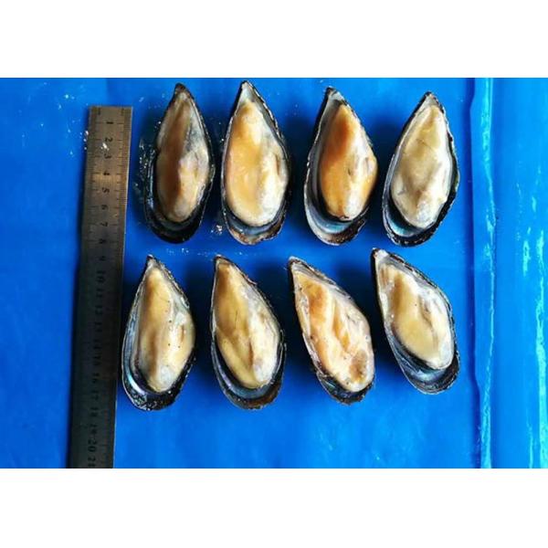 Iso Frozen Cooked Mussel Half Shell Mytilus Edulis Chemical Off